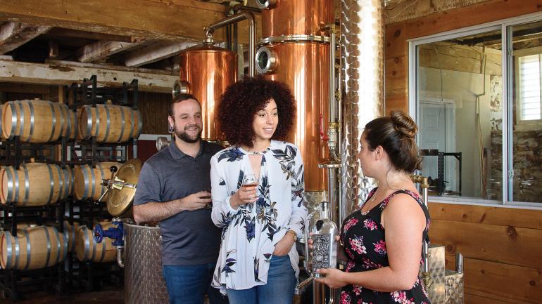 Springfield Manor Winery Distillery Brewery 酒厂位于马里兰州瑟蒙特市一座历史悠久的庄园内，最早可追溯到 1765 年。