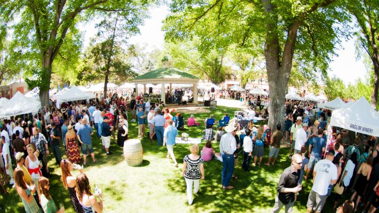 在帕索罗布尔斯的丰收旺季，探索了解加州中部的葡萄酒。