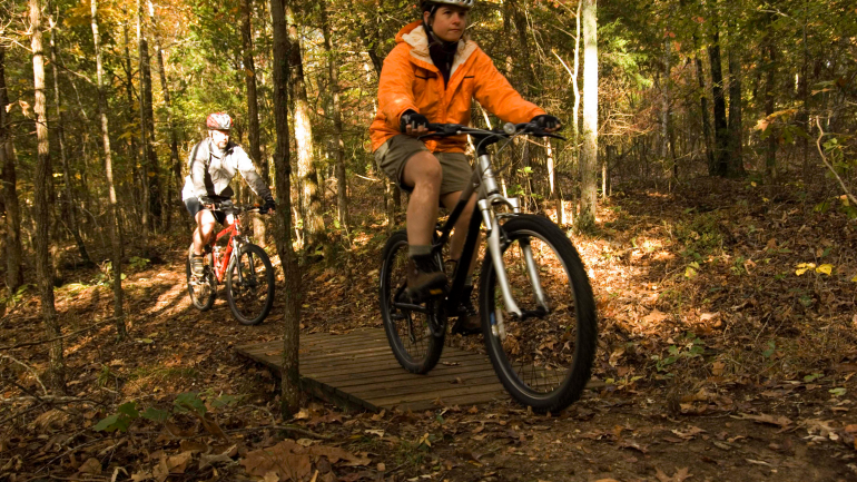 在布尔肖尔斯-怀特河州立公园 （Bull Shoals-White River State Park） 可以开展许多运动，包括山地自行车。
