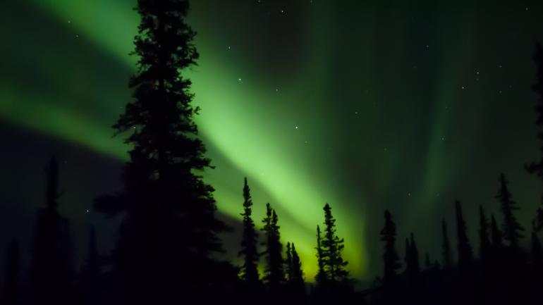 从迪纳利国家公园和自然保护区 (Denali National Park & Preserve) 欣赏北极光。