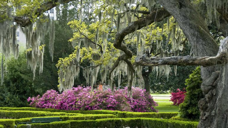 路易斯安那州巴吞鲁日新州议会大厦周边的优美园林