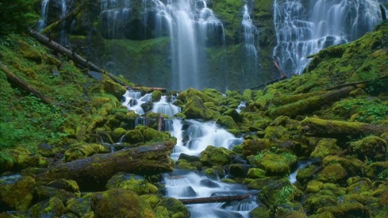 驱车前往尤金大部分的啤酒厂不足一小时车程,沿途可发现众多隐蔽的瀑布以及风景壮丽的越野自行车径。 驱车前往尤金大部分的啤酒厂不足一小时车程,沿途可发现众多隐蔽的瀑布以及风景壮丽的越野自行车径。