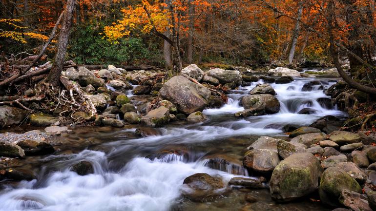 徒步小径中有几乎 1300 公里长的路段位于公园内,包括许多通往瀑布的小径。 徒步小径中有几乎 1300 公里长的路段位于公园内,包括许多通往瀑布的小径。