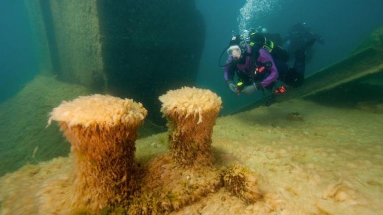 The 145-meter Nordmeer has rested beneath the surface of Thunder Bay National Marine Sanctuary since 1966.