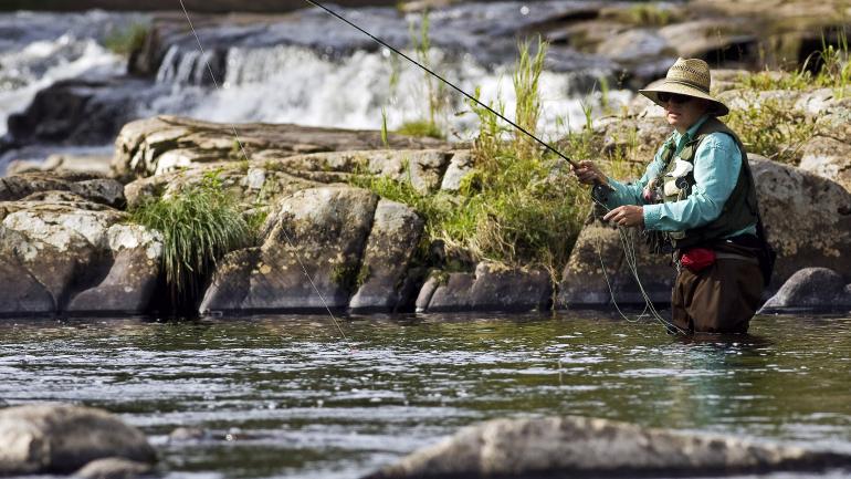 尽管飞蝇钓不是纽约州唯一一种垂钓方式，但却是本州山区最受欢迎的一种。