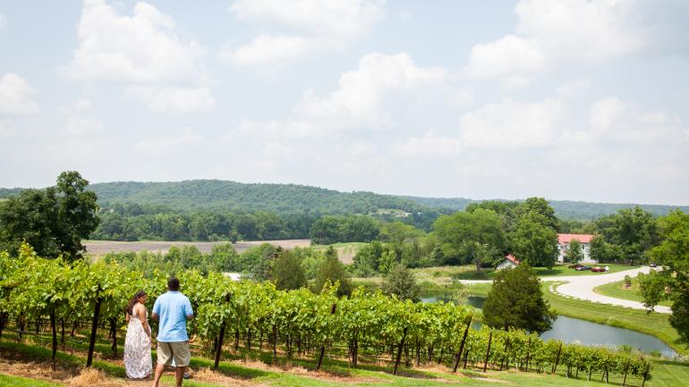 漫步在密苏里州酒乡郁郁葱葱的葡萄园，沉醉在乡间一望无际的美景中。