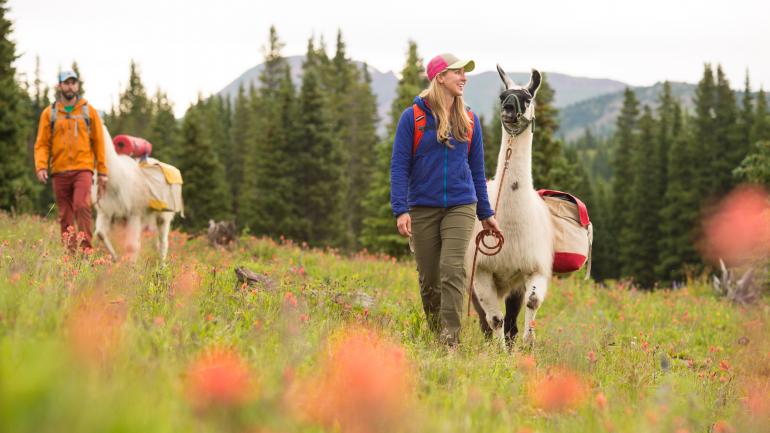 徒步是在夏季探索韦尔的众多方式之一。如果想要更加个性化的体验并且需要托运装备，可以带一只美洲驼。