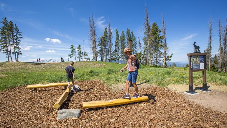 借助韦尔山的动物能力互动标牌，对照大角羊测试一下自己的平衡感。