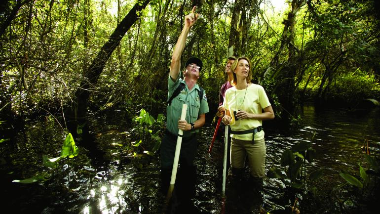 在导游的带领下穿越沼泽栈道,走进声名在外的法喀哈契保护区中心地带。 在导游的带领下穿越沼泽栈道,走进声名在外的法喀哈契保护区中心地带。