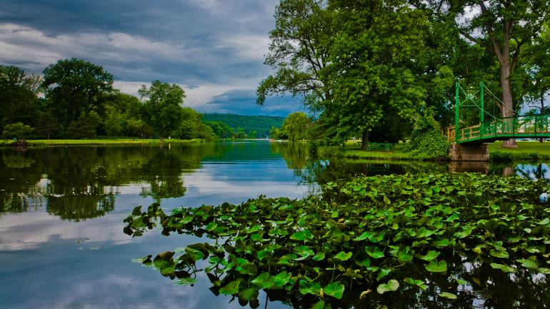 斯图尔特公园内静美的水景