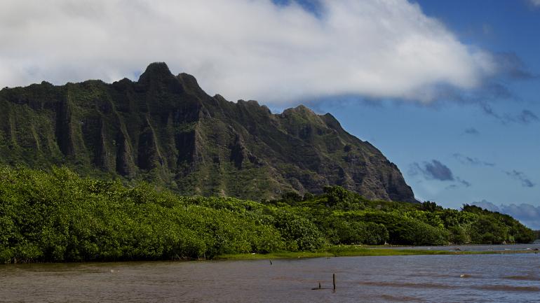 在 Kahaluu Bay Beach Park 海滩公园欣赏夏威夷州独有的美景 在 Kahaluu Bay Beach Park 海滩公园欣赏夏威夷州独有的美景