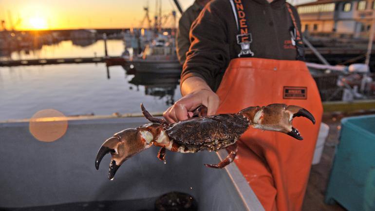 圣巴巴拉海峡是美国最丰富的可持续优质海产品来源之一。