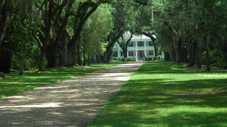 通往路易斯安那州圣弗朗西斯维尔种植园的优美小径