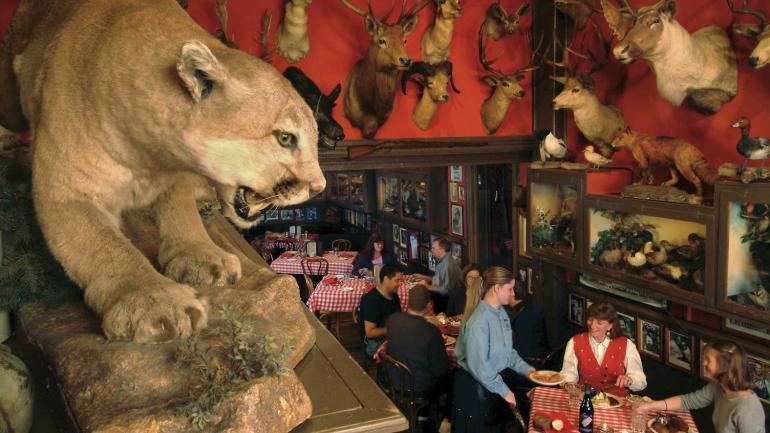 丹佛历史悠久的 Buckhorn Exchange 餐厅墙上挂着的猎物装饰