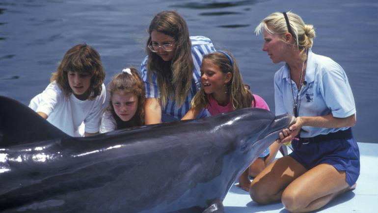 在伊斯拉摩拉的海洋剧院，海豚和驯养师与客人一起互动