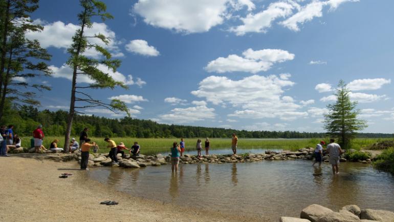 在伊塔斯加州立公园密西西比河的源头尽享乐趣