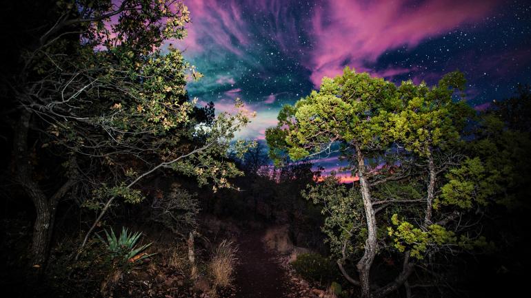 大弯曲国家公园夜幕下流光溢彩的星空