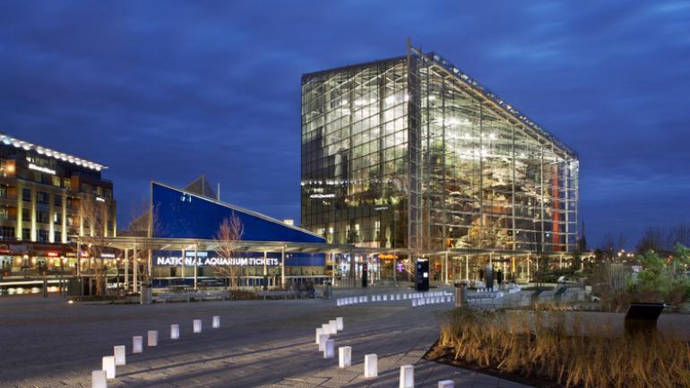 巴尔的摩国家水族馆闪闪发光的外墙