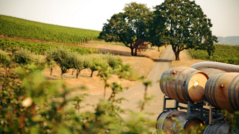 俄勒冈州葡萄酒之乡