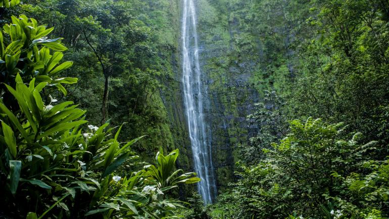 高耸的瓦伊莫库瀑布是毛伊岛东南部的众多自然奇观之一