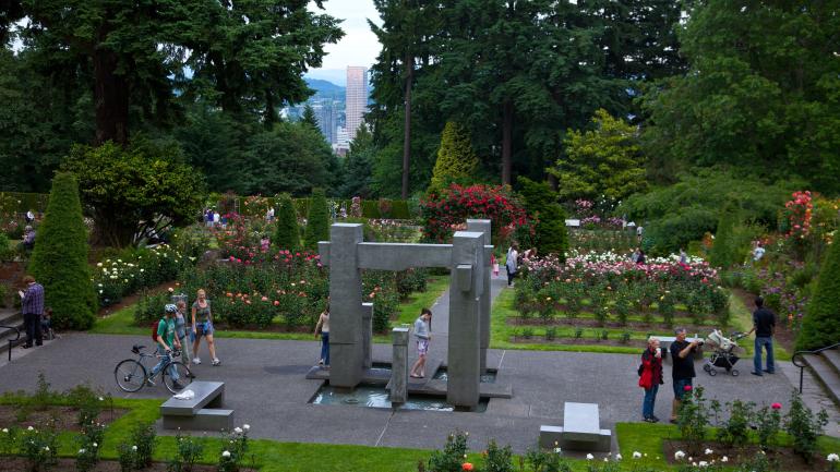 Hundreds of varieties in bloom at the International Rose Test Garden 
