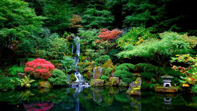Tranquil water features in the Portland Japanese Garden