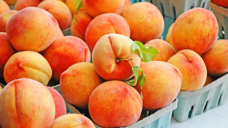 Freshly picked and delicious Georiga peaches Freshly picked and delicious Georiga peaches