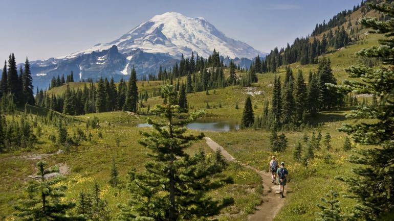 沿着华盛顿州瑞尼尔山国家公园的小径享受徒步乐趣的徒步者