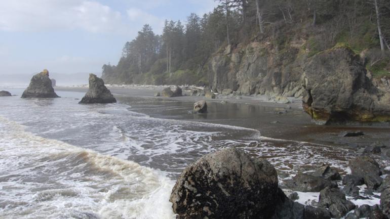 奥林匹克国家公园的海岸