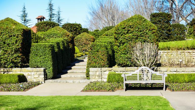 达拉斯植物园内修剪整齐的庭院 达拉斯植物园内修剪整齐的庭院