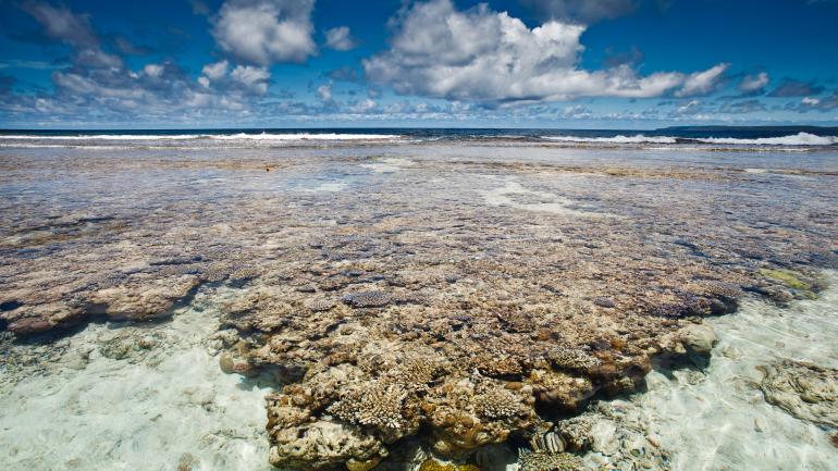 蓝洞洞穴潜水和卡拉贝拉钟乳石洞观光 蓝洞洞穴潜水和卡拉贝拉钟乳石洞观光