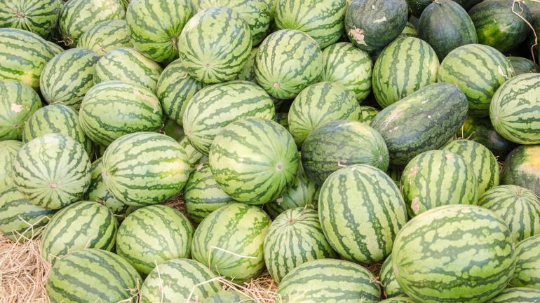 拉什斯普林斯西瓜节提供大量西瓜小食，任您畅享