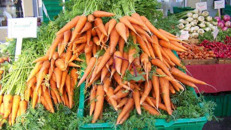 萨拉索塔农贸市场的新鲜胡萝卜 萨拉索塔农贸市场的新鲜胡萝卜