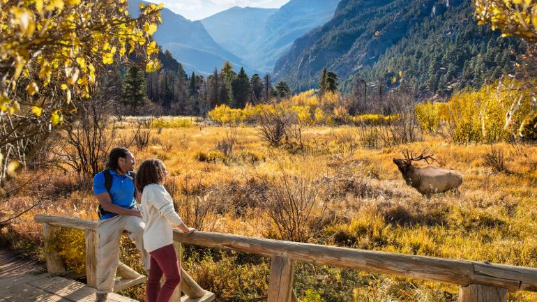 在埃斯特公园的秀丽秋景中观赏麋鹿 在埃斯特公园的秀丽秋景中观赏麋鹿
