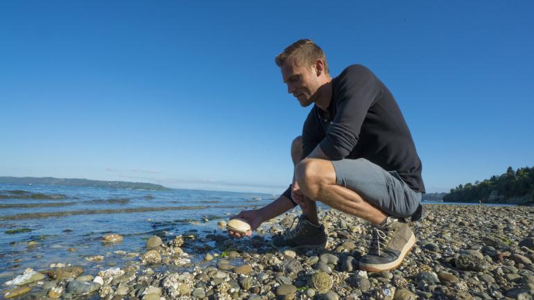 在华盛顿州得梅因咸水州立公园的海岸线捡贝壳