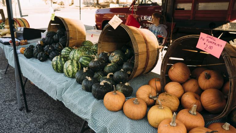 旧议会大厦农贸市场上的农场直运新鲜南瓜