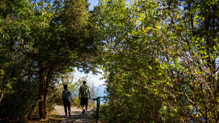 漫步于帕金斯湾的天然小径