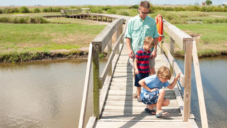沿着德菲利斯海事中心的木板路漫步游览湿地