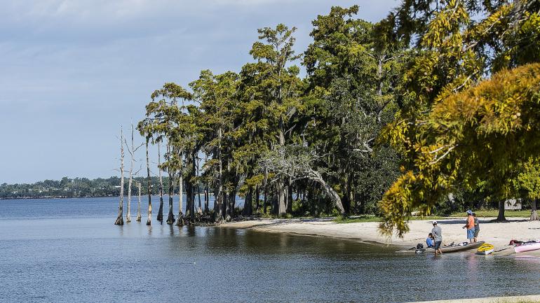 曼德维尔枫丹白露州际公园的海岸线 曼德维尔枫丹白露州际公园的海岸线