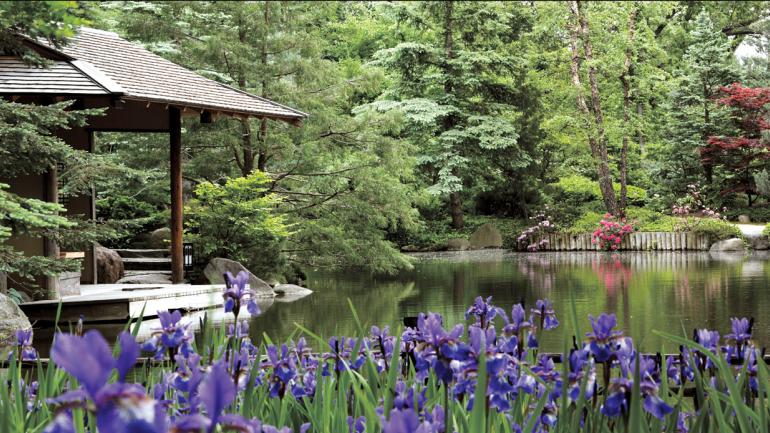 在安德森日本花园内放松休息