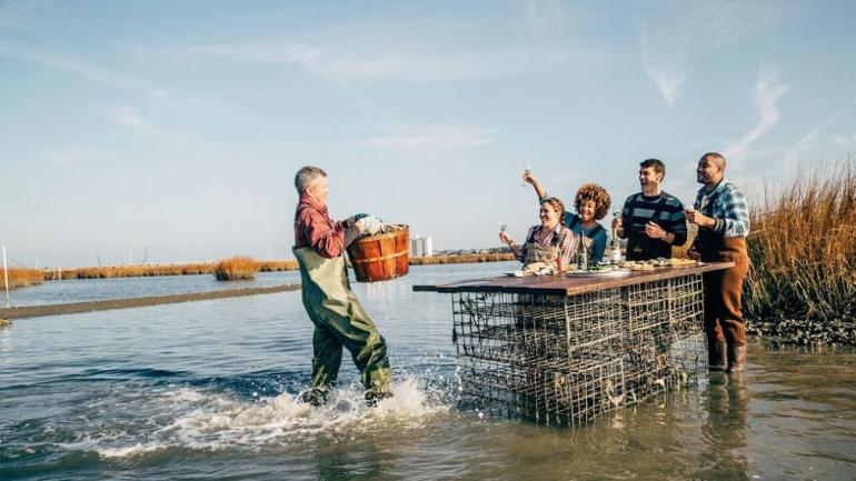 在欢乐之家牡蛎农场的厨师餐桌上大快朵颐 在欢乐之家牡蛎农场的厨师餐桌上大快朵颐