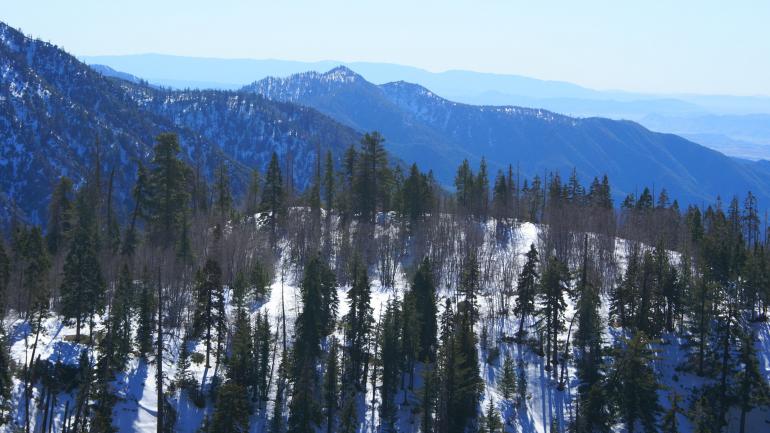 距洛杉矶 2 小时车程的圣贝纳迪诺山脉