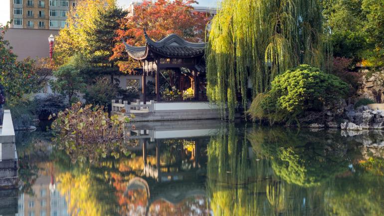 花园内池塘中的中国凉亭倒影 花园内池塘中的中国凉亭倒影