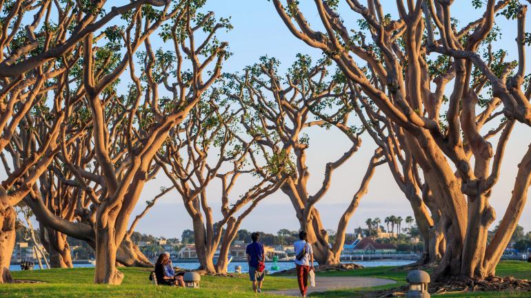 圣地亚哥海滨公园夕景