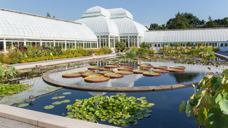 花园大钟附近的倒影池