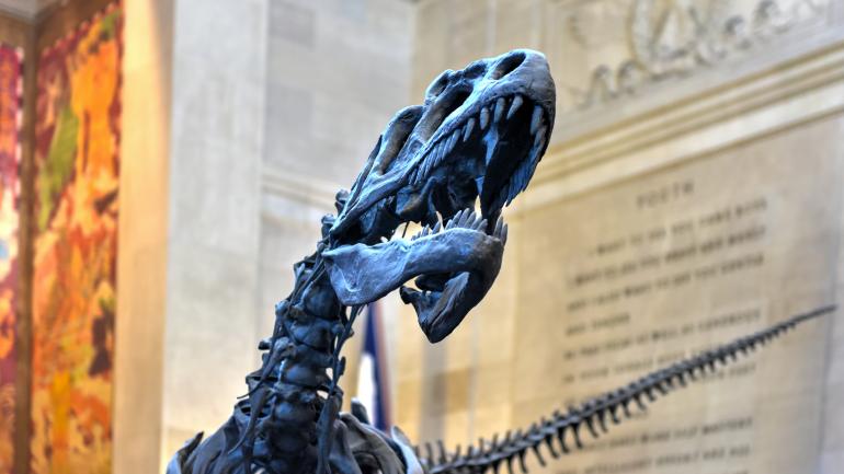 一只异特龙在入口大厅向您致意 一只异特龙在入口大厅向您致意