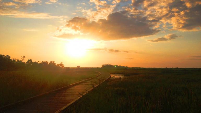 卡梅隆牧场国家野生动物保护区内 Pintail Wildlife Drive 观景道的木板道属于路易斯安那州西南部克里奥尔自然小径的一部分 卡梅隆牧场国家野生动物保护区内 Pintail Wildlife Drive 观景道的木板道属于路易斯安那州西南部克里奥尔自然小径的一部分