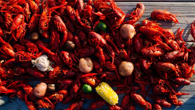 新鲜捕捞的小龙虾，是路易斯安那州各个节日的主食