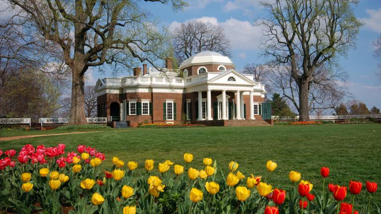 郁金香盛开的蒙特贝洛