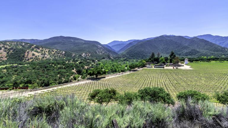 卡梅尔山谷酒田